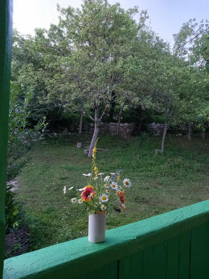 Guest House Guliada Gordi ภายนอก รูปภาพ